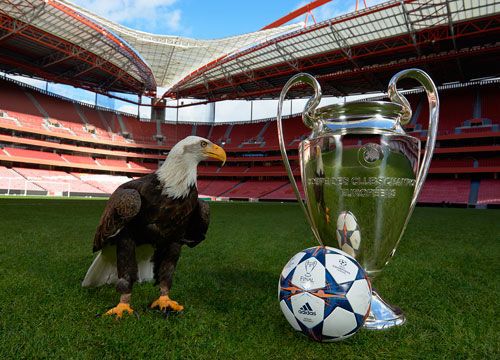 需细分渠道 需细分渠道